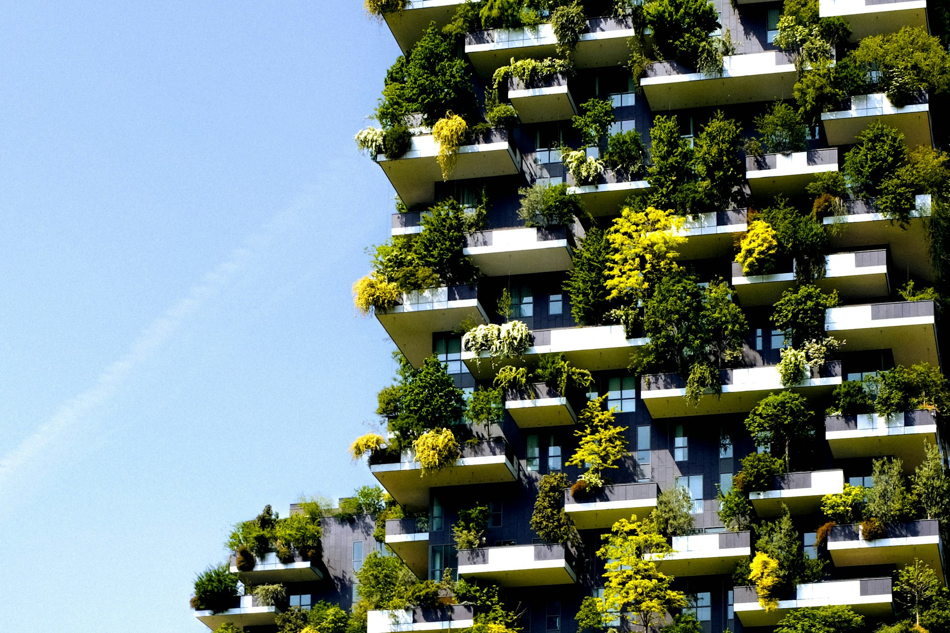 The Future of Sustainable Urban Design